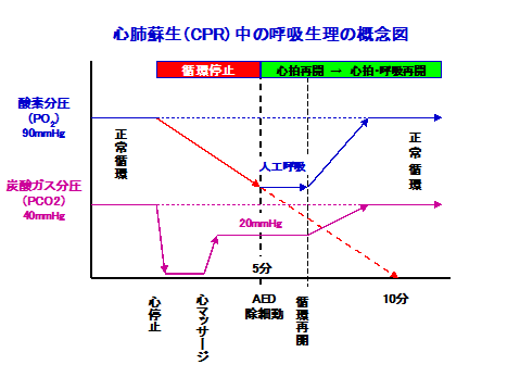 呼吸 動画 下顎 呼吸不全 異常な呼吸音・副雑音の性質・動画音声まとめ